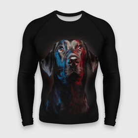 Мужской рашгард 3D с принтом Чёрный лабрадор в городе Новоалтайск,  |  | animal | black | breed | collar | cute | dog | friend | labrador | look | man | muzzle | взгляд | друг | животное | лабрадор | милый | ошейник | пёс | порода | собака | человека | черный