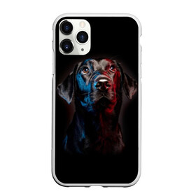 Чехол для iPhone 11 Pro матовый Чёрный лабрадор: в городе Новоалтайск, Силикон | | animal | black | breed | collar | cute | dog | friend | labrador | look | man | muzzle | взгляд | друг | животное | лабрадор | милый | ошейник | пёс | порода | собака | человека | черный