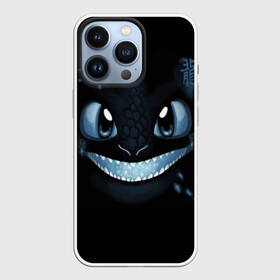 Чехол для iPhone 13 Pro с принтом Ночная Фурия в городе Новоалтайск,  |  | Тематика изображения на принте: dragon | how | to train | your | астрид | беззубик | викинги | всадник | гриммель | дневная | дракон | иккинг | как | ночная | олух | приручить | фурия | фэнтези