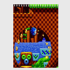 Скетчбук с принтом SONIC 2019 в городе Новоалтайск, 100% бумага
 | 48 листов, плотность листов — 100 г/м2, плотность картонной обложки — 250 г/м2. Листы скреплены сверху удобной пружинной спиралью | Тематика изображения на принте: hedgehog | metal sonic | silver | silver the hedgehog | sonic | sonic boom | sonic the hedgehog | ёж сонник | игры | соник | фильмы