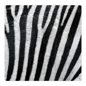 Магнитный плакат 3Х3 с принтом Zebra Skin в городе Новоалтайск, Полимерный материал с магнитным слоем | 9 деталей размером 9*9 см | animal | black | black white | pattern. | skin | streaks | texture | white | zebra | белый | животное | животные | зебра | полосы | текстура | узор | чёрно белые | чёрный