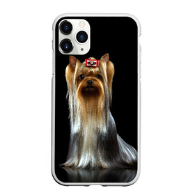 Чехол для iPhone 11 Pro Max матовый с принтом Йоркширский терьер в городе Новоалтайск, Силикон |  | Тематика изображения на принте: animal | barrette | breed | cute | dog | funny | muzzle | small | terrier | yorkshire | животное | забавный | заколка | йоркширский | маленький | милый | порода | смешной | собака | терьер