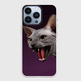 Чехол для iPhone 13 Pro Сфинкс: в городе Новоалтайск, | | aggressive | angry | animal | bald | breed | cat | dangerous | fangs | gray | purple | sphinx | агрессивный | животное | злой | клыки | кот | лысый | опасный | порода | серый | сфинкс | фиолетовый