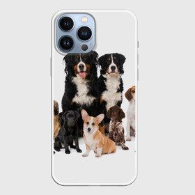Чехол для iPhone 13 Pro Max с принтом Породистые собаки в городе Новоалтайск,  |  | Тематика изображения на принте: animal | bernese | breed | bulldog | corgi | cute | dog | french | funny | jack | labrador | mountain dog | muzzle | paws | pug | puppy | spaniel | бернский | бульдог | джек рассел | животное | забавный | зенненхунд | корги | лабрадор | лапы | милый
