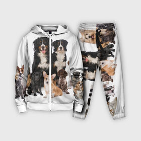 Детский костюм 3D с принтом Породистые собаки в городе Новоалтайск,  |  | animal | bernese | breed | bulldog | corgi | cute | dog | french | funny | jack | labrador | mountain dog | muzzle | paws | pug | puppy | spaniel | бернский | бульдог | джек рассел | животное | забавный | зенненхунд | корги | лабрадор | лапы | милый