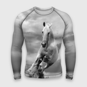 Мужской рашгард 3D с принтом Белая лошадь в городе Новоалтайск,  |  | animal | beautiful | gloss | horse | mane | mustang | muzzle | nature | white | wild | белый | грива | дикий | животное | конь | красивый | лоск | лошадь | мустанг | природа | скакун