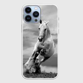 Чехол для iPhone 13 Pro Max с принтом Белая лошадь в городе Новоалтайск,  |  | Тематика изображения на принте: animal | beautiful | gloss | horse | mane | mustang | muzzle | nature | white | wild | белый | грива | дикий | животное | конь | красивый | лоск | лошадь | мустанг | природа | скакун