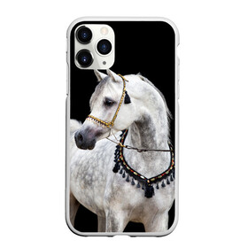 Чехол для iPhone 11 Pro Max матовый с принтом Серый в яблоках конь в городе Новоалтайск, Силикон |  | Тематика изображения на принте: animal | beautiful | black | eyes | gloss | gray | harness | horse | in apples | look | muzzle | spotted | white | белый | в яблоках | взгляд | глаза | животное | конь | красивый | лоск | лошадь | пятнистый | сбруя | серый | скакун | черный