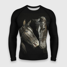 Мужской рашгард 3D с принтом Лошади в городе Новоалтайск,  |  | animal | beautiful | black | couple | eyes | gloss | harness | horse | look | muzzle | взгляд | глаза | животное | конь | красивый | лоск | лошади | пара | сбруя | скакуны | черные