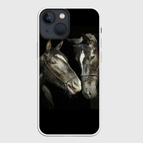 Чехол для iPhone 13 mini с принтом Лошади в городе Новоалтайск,  |  | animal | beautiful | black | couple | eyes | gloss | harness | horse | look | muzzle | взгляд | глаза | животное | конь | красивый | лоск | лошади | пара | сбруя | скакуны | черные