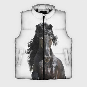 Мужской жилет утепленный 3D с принтом Лошадь в городе Новоалтайск,  |  | animal | beautiful | black | horse | mane | mustang | muzzle | wild | грива | дикий | животное | конь | красивый | лошадь | мустанг | скакун | черный