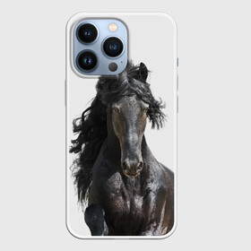 Чехол для iPhone 13 Pro с принтом Лошадь в городе Новоалтайск,  |  | animal | beautiful | black | horse | mane | mustang | muzzle | wild | грива | дикий | животное | конь | красивый | лошадь | мустанг | скакун | черный