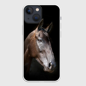 Чехол для iPhone 13 mini с принтом Лошадь в городе Новоалтайск,  |  | animal | beautiful | black | brown | horse | muzzle | portrait | животное | конь | коричневый | красивый | лошадь | портрет | скакун | черный