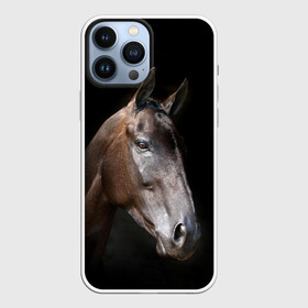 Чехол для iPhone 13 Pro Max с принтом Лошадь в городе Новоалтайск,  |  | animal | beautiful | black | brown | horse | muzzle | portrait | животное | конь | коричневый | красивый | лошадь | портрет | скакун | черный