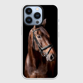 Чехол для iPhone 13 Pro с принтом Гнедая лошадь в городе Новоалтайск,  |  | animal | beautiful | black | brown | eyes | gloss | harness | horse | look | muzzle | взгляд | глаза | гнедая | животное | конь | коричневый | красивый | лоск | лошадь | сбруя | скакун | черный