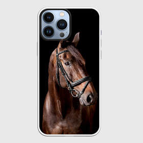 Чехол для iPhone 13 Pro Max с принтом Гнедая лошадь в городе Новоалтайск,  |  | Тематика изображения на принте: animal | beautiful | black | brown | eyes | gloss | harness | horse | look | muzzle | взгляд | глаза | гнедая | животное | конь | коричневый | красивый | лоск | лошадь | сбруя | скакун | черный