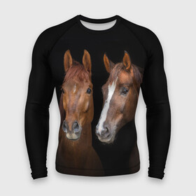 Мужской рашгард 3D с принтом Лошади гнедые в городе Новоалтайск,  |  | animal | beautiful | black | brown | coffee | couple | eyes | gloss | horse | look | muzzle | взгляд | глаза | гнедые | животное | конь | коричневый | кофейный | красивый | лоск | лошади | пара | скакун | черный
