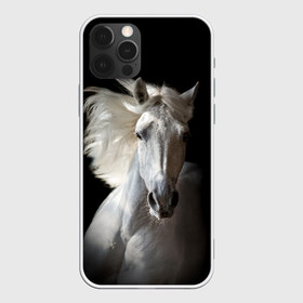 Чехол для iPhone 12 Pro Max с принтом Белая лошадь в городе Новоалтайск, Силикон |  | Тематика изображения на принте: animal | beautiful | black | eyes | gloss | grace | harness | horse | look | mane | muzzle | strength | white | белая | взгляд | глаза | грация | грива | животное | конь | красивый | лоск | лошадь | сбруя | сила | скакун