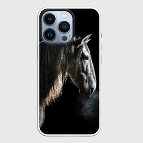 Чехол для iPhone 13 Pro с принтом Серный в яблоках конь в городе Новоалтайск,  |  | Тематика изображения на принте: animal | beautiful | black | eyes | gloss | harness | horse | look | muzzle | portrait | в яблоках | взгляд | глаза | животное | конь | красивый | лоск | лошадь | портрет | сбруя | серый | скакун