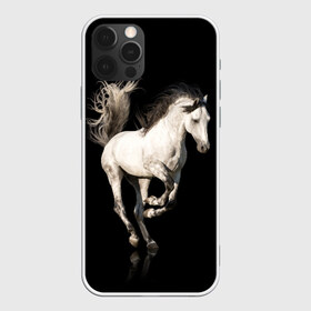 Чехол для iPhone 12 Pro Max с принтом Серный в яблоках конь в городе Новоалтайск, Силикон |  | Тематика изображения на принте: animal | beautiful | black | gloss | horse | mane | mustang | muzzle | white | wild | белый | в яблоках | грива | дикий | животное | конь | красивый | лоск | лошадь | мустанг | серый | скакун | черный