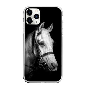 Чехол для iPhone 11 Pro матовый с принтом Белая лошадь в городе Новоалтайск, Силикон |  | Тематика изображения на принте: animal | beautiful | black | eyes | gloss | harness | horse | look | muzzle | white | белый | взгляд | глаза | животное | конь | красивый | лоск | лошадь | сбруя | скакун