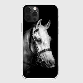 Чехол для iPhone 12 Pro Max с принтом Белая лошадь в городе Новоалтайск, Силикон |  | Тематика изображения на принте: animal | beautiful | black | eyes | gloss | harness | horse | look | muzzle | white | белый | взгляд | глаза | животное | конь | красивый | лоск | лошадь | сбруя | скакун