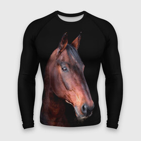 Мужской рашгард 3D с принтом Гнедая лошадь в городе Новоалтайск,  |  | animal | beautiful | black | brown | chocolate | eyes | gloss | horse | look | muzzle | portrait | взгляд | глаза | животное | конь | коричневый | красивый | лоск | лошадь | портрет | скакун | черный | шоколадный