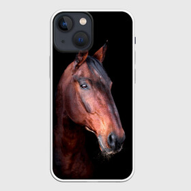 Чехол для iPhone 13 mini с принтом Гнедая лошадь в городе Новоалтайск,  |  | Тематика изображения на принте: animal | beautiful | black | brown | chocolate | eyes | gloss | horse | look | muzzle | portrait | взгляд | глаза | животное | конь | коричневый | красивый | лоск | лошадь | портрет | скакун | черный | шоколадный