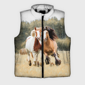 Мужской жилет утепленный 3D с принтом Лошади в городе Новоалтайск,  |  | animal | free | horse | mane | nature | pair | polish | wild | грива | дикий | животное | конь | лоск | лошадь | пара | природа | свободный | скакун