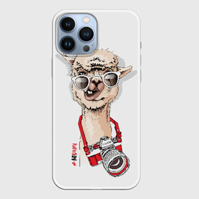 Чехол для iPhone 13 Pro Max с принтом NoDrama в городе Новоалтайск,  |  | Тематика изображения на принте: alpaca | animal | camera | cool | drama | hashtag | head | inscription | llama | look | nodrama | photographer | альпака | взгляд | голова | драма | животное | камера | лама | надпись | очки | прикольный | фотоаппарат | фотограф | хэштег