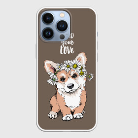 Чехол для iPhone 13 Pro с принтом I need your love в городе Новоалтайск,  |  | Тематика изображения на принте: animal | breed | chamomile | cute | dog | flowers | funny | i need your love | inscription | puppy | welsh corgi pembroke | вельш корги пемброк | животное | забавный | любовь | милый | мне нужна твоя любовь | надпись | порода | ромашки | собака | цв