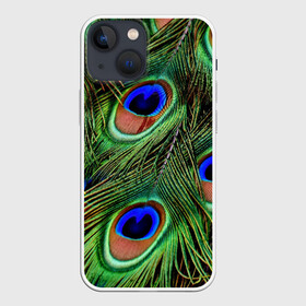 Чехол для iPhone 13 mini с принтом Перья павлина 1 в городе Новоалтайск,  |  | animal | bird | peacock feathers | животные | павлин | перо. | перья | птица