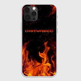 Чехол для iPhone 12 Pro Max с принтом DISTURBED (НА СПИНЕ) в городе Новоалтайск, Силикон |  | disturbed | дистурбед