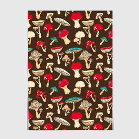 Постер с принтом Грибы в городе Новоалтайск, 100% бумага
 | бумага, плотность 150 мг. Матовая, но за счет высокого коэффициента гладкости имеет небольшой блеск и дает на свету блики, но в отличии от глянцевой бумаги не покрыта лаком | art | beautiful | drawing | mushrooms | poisonous | pop art | toadstools | грибы | искусство | красивые | мухоморы | поганки | поп   арт | рисунок | ядовитые