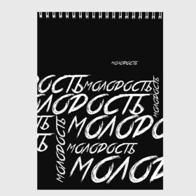 Скетчбук с принтом Молодость в городе Новоалтайск, 100% бумага
 | 48 листов, плотность листов — 100 г/м2, плотность картонной обложки — 250 г/м2. Листы скреплены сверху удобной пружинной спиралью | ivan valeev | novella | валеев | молодость | певец
