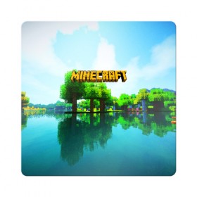 Магнит виниловый Квадрат с принтом MINECRAFT в городе Новоалтайск, полимерный материал с магнитным слоем | размер 9*9 см, закругленные углы | Тематика изображения на принте: craft | creeper | dungeon | dungeons | earth | game | logo | mine | minecraft | mobile | online | дунгеонс | земля | зомбиы | игра | крипер | лого | майкрафт | майнкрафт | мобайл | онлайн | подземелье | подземелья