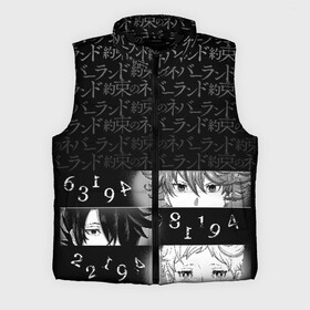 Мужской жилет утепленный 3D с принтом Emma, Ray, Norman в городе Новоалтайск,  |  | manga | the promised neverland | аниме | манга | обещанный неверленд