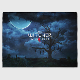 Плед 3D с принтом THE WITCHER 3:WILD HUNT в городе Новоалтайск, 100% полиэстер | закругленные углы, все края обработаны. Ткань не мнется и не растягивается | cd projekt red | ciri | game | geralt | geralt of rivia | gwynbleidd | the witcher | the witcher 3: wild hunt | ведьмак | ведьмак 3: дикая охота | геральт | геральт из ривии | цири | цирилла