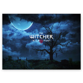 Поздравительная открытка с принтом THE WITCHER 3:WILD HUNT в городе Новоалтайск, 100% бумага | плотность бумаги 280 г/м2, матовая, на обратной стороне линовка и место для марки
 | Тематика изображения на принте: cd projekt red | ciri | game | geralt | geralt of rivia | gwynbleidd | the witcher | the witcher 3: wild hunt | ведьмак | ведьмак 3: дикая охота | геральт | геральт из ривии | цири | цирилла