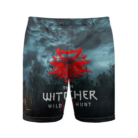 Мужские шорты спортивные с принтом THE WITCHER 3:WILD HUNT в городе Новоалтайск,  |  | cd projekt red | ciri | game | geralt | geralt of rivia | gwynbleidd | the witcher | the witcher 3: wild hunt | ведьмак | ведьмак 3: дикая охота | геральт | геральт из ривии | цири | цирилла