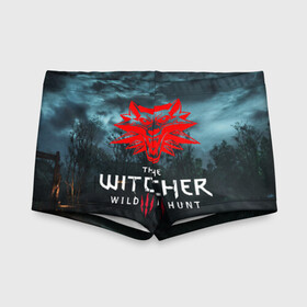 Детские купальные плавки 3D с принтом THE WITCHER 3:WILD HUNT в городе Новоалтайск, Полиэстер 85%, Спандекс 15% | Слитный крой, подклад по переду изделия, узкие бретели | Тематика изображения на принте: cd projekt red | ciri | game | geralt | geralt of rivia | gwynbleidd | the witcher | the witcher 3: wild hunt | ведьмак | ведьмак 3: дикая охота | геральт | геральт из ривии | цири | цирилла