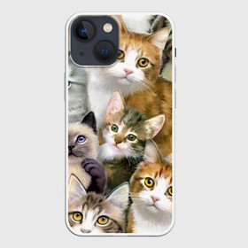 Чехол для iPhone 13 mini с принтом Котишики в городе Новоалтайск,  |  | кот | котишики | котишки | коты | кошка | много котов | многокотье
