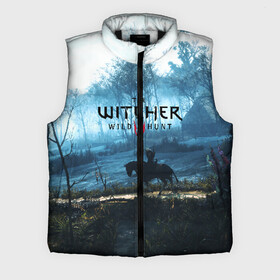 Мужской жилет утепленный 3D с принтом THE WITCHER в городе Новоалтайск,  |  | cd projekt red | ciri | game | geralt | geralt of rivia | gwynbleidd | the witcher | the witcher 3: wild hunt | ведьмак | ведьмак 3: дикая охота | геральт | геральт из ривии | цири | цирилла