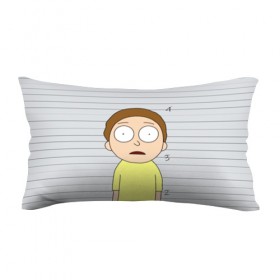 Подушка 3D антистресс с принтом Morty is in prison в городе Новоалтайск, наволочка — 100% полиэстер, наполнитель — вспененный полистирол | состоит из подушки и наволочки на молнии | c 137 | morty | morty smith | portal | rick | rick and morty | rick sanchez | sanchez | smith | морти | морти смит | портал | рик | рик и морти | рик санчез | санчез | смит
