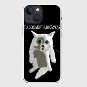 Чехол для iPhone 13 mini с принтом Кот Гопник в городе Новоалтайск,  |  | cat | гопник | злой кот | интернет приколы | кот | котик | кошак | мем | мемы | надпись | рисунок