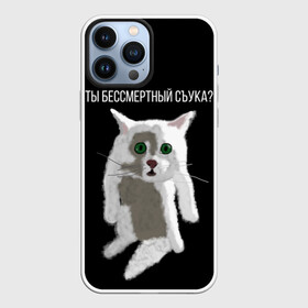 Чехол для iPhone 13 Pro Max с принтом Кот Гопник в городе Новоалтайск,  |  | cat | гопник | злой кот | интернет приколы | кот | котик | кошак | мем | мемы | надпись | рисунок