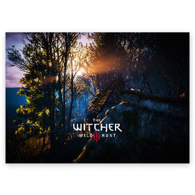 Поздравительная открытка с принтом THE WITCHER 3:WILD HUNT в городе Новоалтайск, 100% бумага | плотность бумаги 280 г/м2, матовая, на обратной стороне линовка и место для марки
 | Тематика изображения на принте: cd projekt red | ciri | game | geralt | geralt of rivia | gwynbleidd | the witcher | the witcher 3: wild hunt | ведьмак | ведьмак 3: дикая охота | геральт | геральт из ривии | цири | цирилла