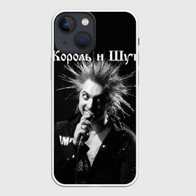 Чехол для iPhone 13 mini с принтом Король и Шут + Анархия (спина) в городе Новоалтайск,  |  | киш | король и шут | михаил горшенев