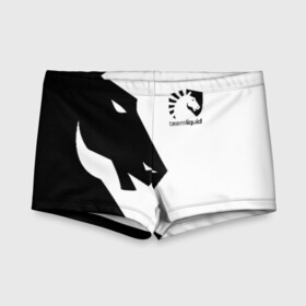 Детские купальные плавки 3D с принтом TEAM LIQUID | ТИМ ЛИКВИД в городе Новоалтайск, Полиэстер 85%, Спандекс 15% | Слитный крой, подклад по переду изделия, узкие бретели | Тематика изображения на принте: dota2 | kuroky | liquid | mind control | miracle | team liquid | w33 | w33haa | виха | гх | дота2 | куроки | куроку | ликвид | майнд контрол | миракл | тим ликвид