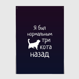 Постер с принтом Я был в норме три кота назад в городе Новоалтайск, 100% бумага
 | бумага, плотность 150 мг. Матовая, но за счет высокого коэффициента гладкости имеет небольшой блеск и дает на свету блики, но в отличии от глянцевой бумаги не покрыта лаком | cats | normal | жизненно | жизнь | котики | коты | котэ | кошатник | кошатница | кошка | кошки | нормальный